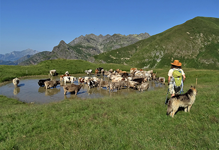 Anello con tris di cime, Avaro, Tribortoi, Ponteranica centr.,e Laghii di Ponteranica dai Piani Avaro il 1 ag.2020- FOTOGALLERY